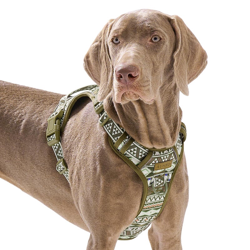 AUNZO No Pull Dog Harness for Large Dogs with 2 Metal Clips, Easy On/Off with Neck Buckle, Heavy Duty Adjustable Puppy Vest, Breathable Pet Harness with Easy Control Handle, Green Ethnic L - Image 1