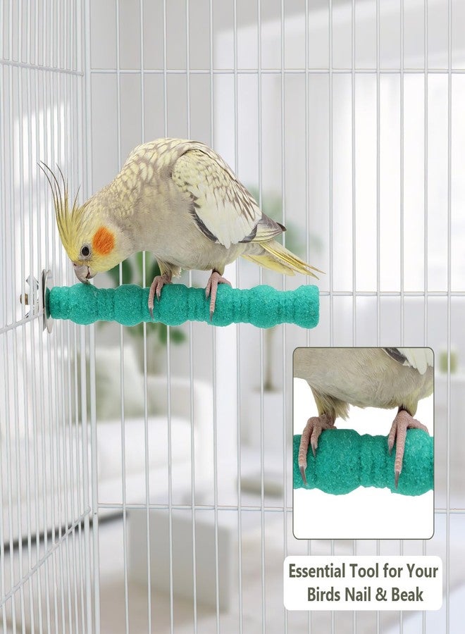 Litewoo Pet Bird Perch Parrot Rough-surfaced Stand Toy Branch Nature Wood Quartz Sand Branches Nail Perch for Small Medium Birds Cockatiel Parakeet Conure Cage Accessories (Green, 6.3in) - Image 4