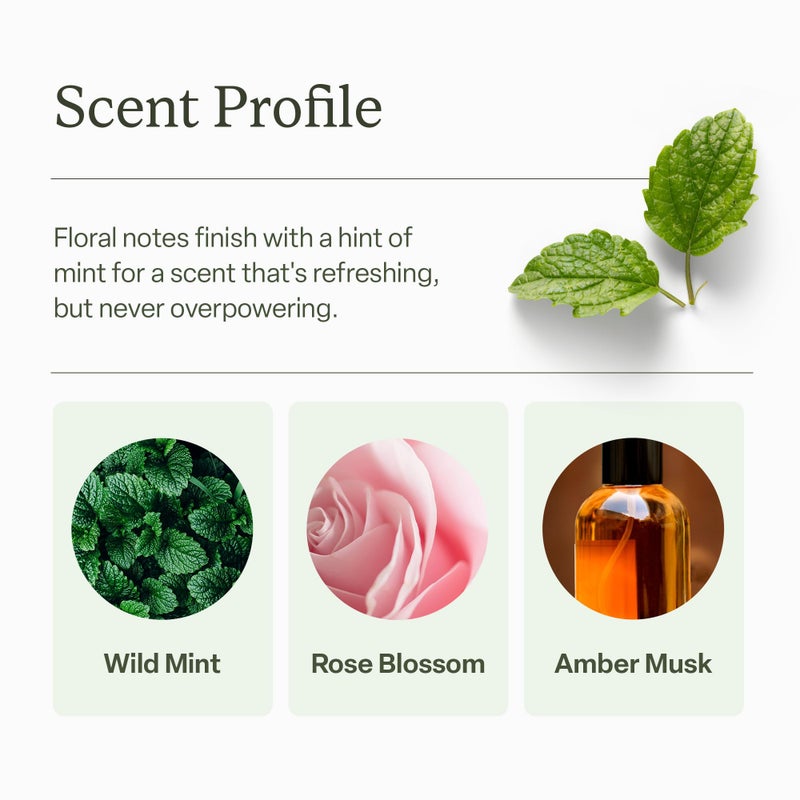 DiVi بخاخ شامبو جاف ديفي للنساء - مصمم لامتصاص الزيت، وتوازن فروة الرأس، وتمديد الوقت بين الغسلات - خالي من البنزين، والبيوتان، والبروبان، والتلك، 5.3 أونصة (1 عبوة) - قد يختلف التغليف. - Image 4