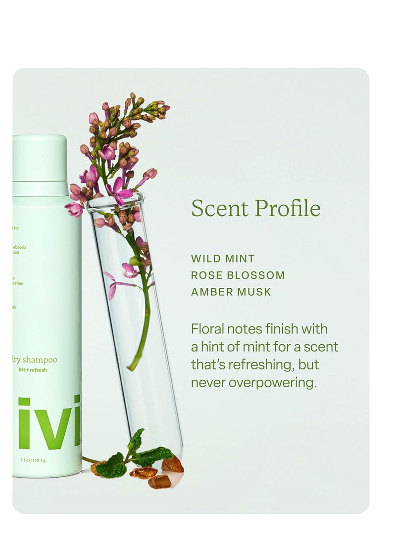 DiVi divi Dry Shampoo Spray for Women - Formulated to Absorb Oil, Balance the Scalp and Extend Time Between Washes - Free of Benzene, Butane, Propane and Talc, 5.3oz (1 Pack) - Packaging may vary  - Image 4