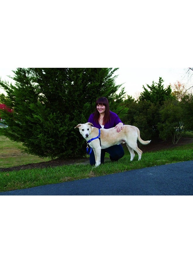 PetSafe Easy Walk No-Pull Dog Harness - The Ultimate Harness to Help Stop Pulling - Take Control & Teach Better Leash Manners - Helps Prevent Pets Pulling on Walks - Large, Red/Black - Image 2