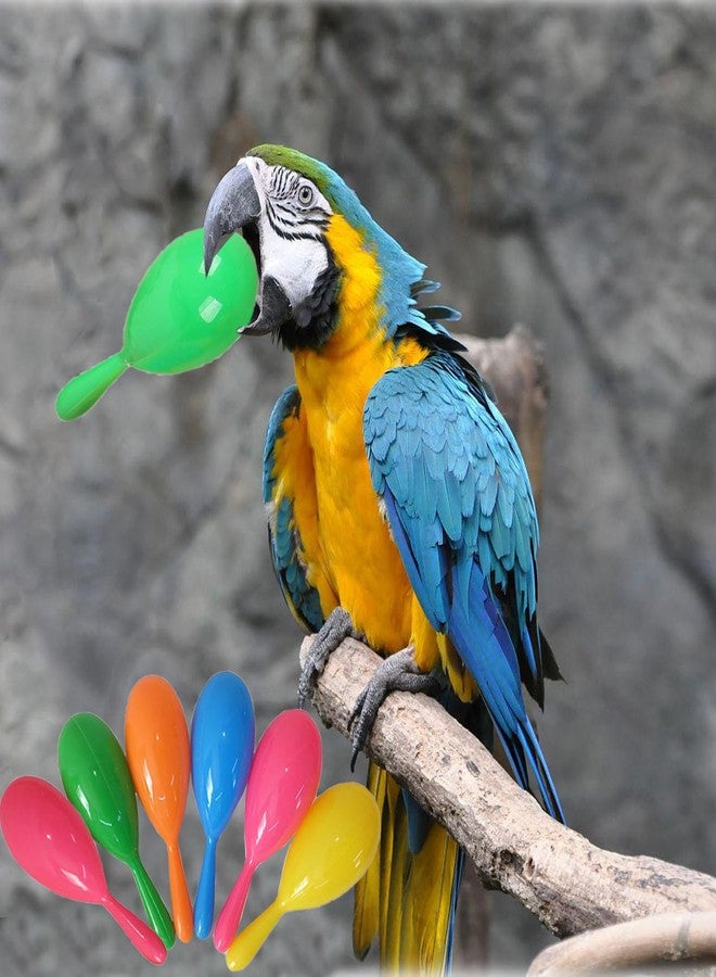 TTFdacai 6 Pcs Parrot Rattle Shaker Musical Sound Toy Funny Bell Toys Mini Sand Hammer Bird Parrot Toys for Chicken Bird Parrot Parakeet Cockatiel Budgies Love Birds (Random Color) - Image 5