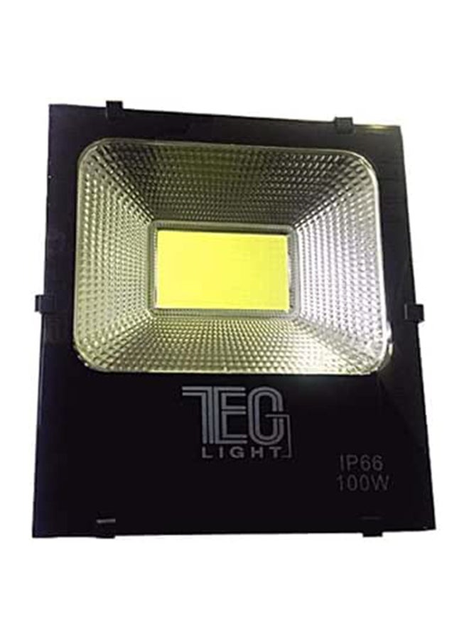 100 Watt LED Flood Light (White)