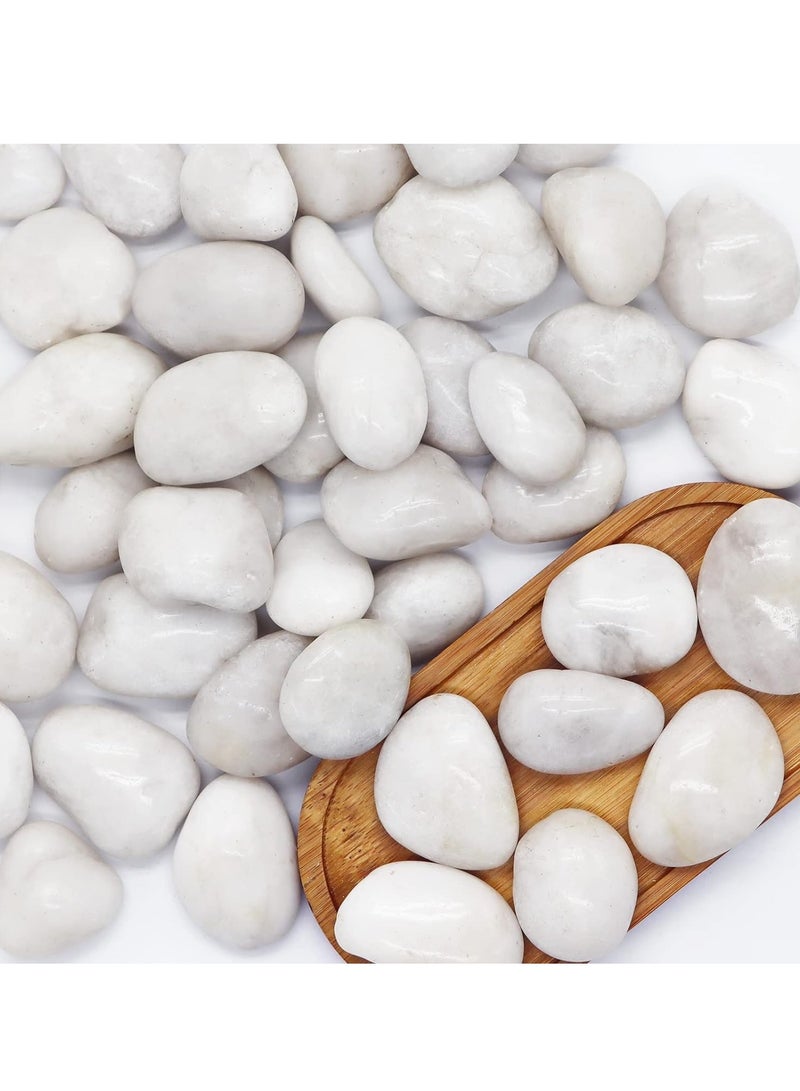 2-3Cm River Pebbles, Natural Mixed Decorative Polished White Color For Garden, Plant Pots, Landscape, Ponds And Vase Fillers, Diy For Home Decor And More, 1Kg - Image 1