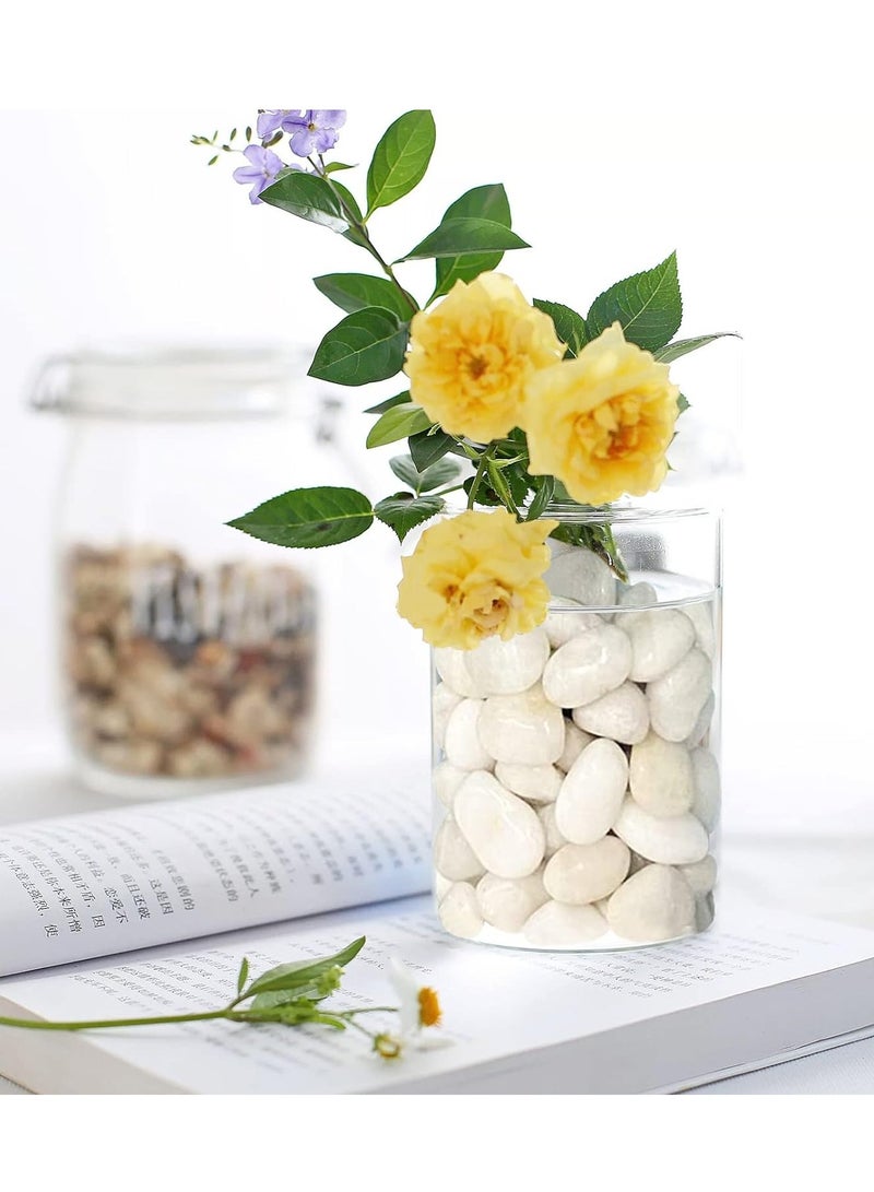 2-3Cm River Pebbles, Natural Mixed Decorative Polished White Color For Garden, Plant Pots, Landscape, Ponds And Vase Fillers, Diy For Home Decor And More, 1Kg - Image 2