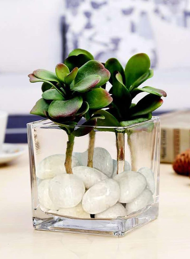 2-3Cm River Pebbles, Natural Mixed Decorative Polished White Color For Garden, Plant Pots, Landscape, Ponds And Vase Fillers, Diy For Home Decor And More, 1Kg - Image 3