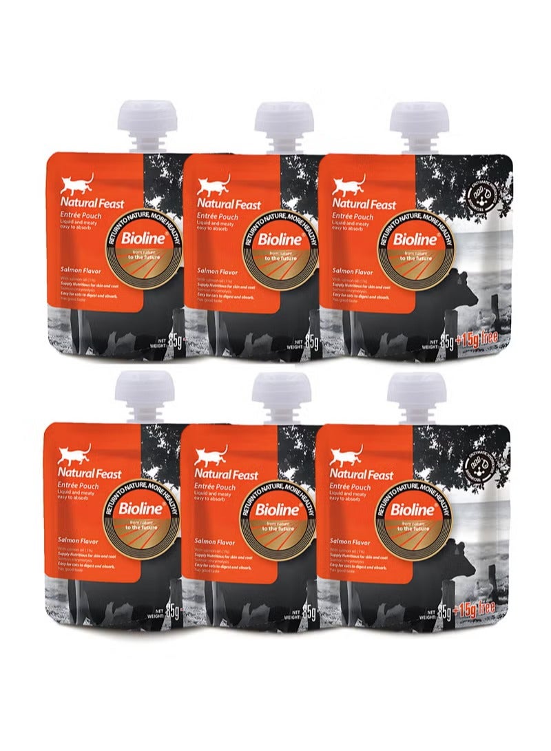 بايولاين كيس بيولاين ناتشورال فيست إنتري بنكهة السلمون 85 جم + 15 جم (6 قطع) - Image 1