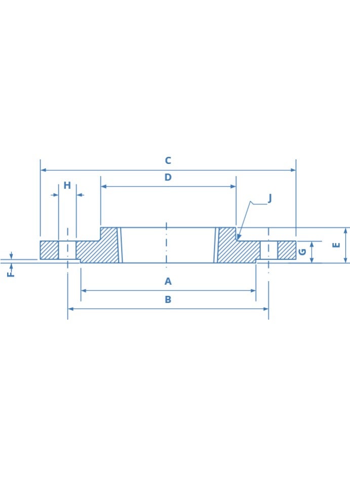 SS316 Threaded NPT Flng #150 JAG (1")  - Image 2