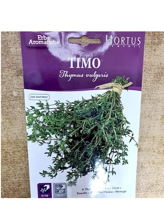 هورتس بذور الزعتر تيمو هيرب عالية الجودة من هورتوس - Image 2