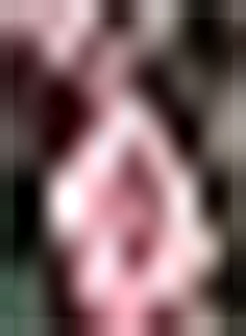 GGOOT 10pcs Pink Camellia Seeds High Ornamental Value for All Year Around Planting in Pieces Form Landscape DIY Garden Craft Art Decoration Easy to Care - Image 2