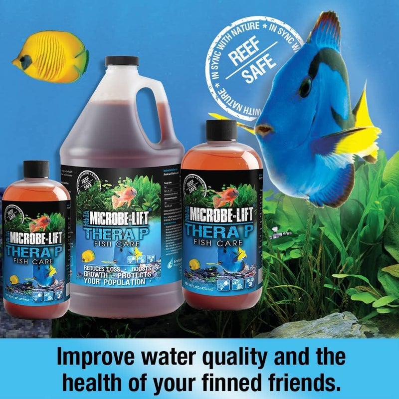 Microbe Lift MICROBE-LIFT THERAPH16 TheraP Fish Care Treatment for Freshwater and Saltwater Home Aquariums and Tanks, 16 Ounces - Image 3