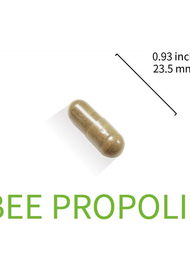 Lovita Bee Propolis Capsule 4000mg Equivalent, Immune Support, 5:1 Concentrate, Natural Propolis Extract, 30 Vegetarian Capsules (Pack of 3) - Image 5