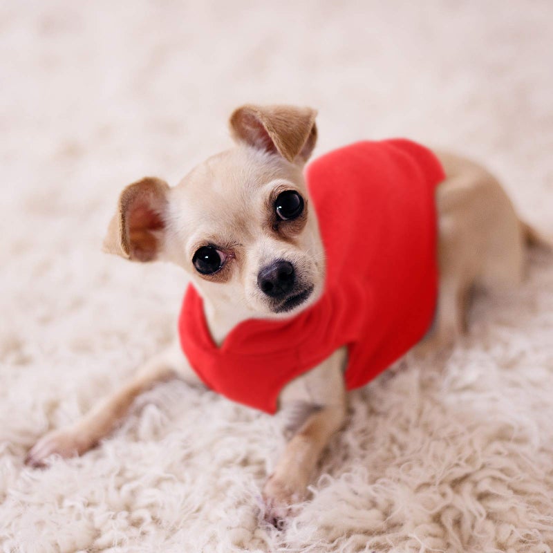 SATINIOR 4 Pieces Stretch Fleece Dog Sweater Polyester Warmer Vest Pullover Jacket with D-Ring Leash Cold Weather Coat Hoodie for Small and Medium Dogs(M,Purple, Blue, Rose, Red) - Image 5