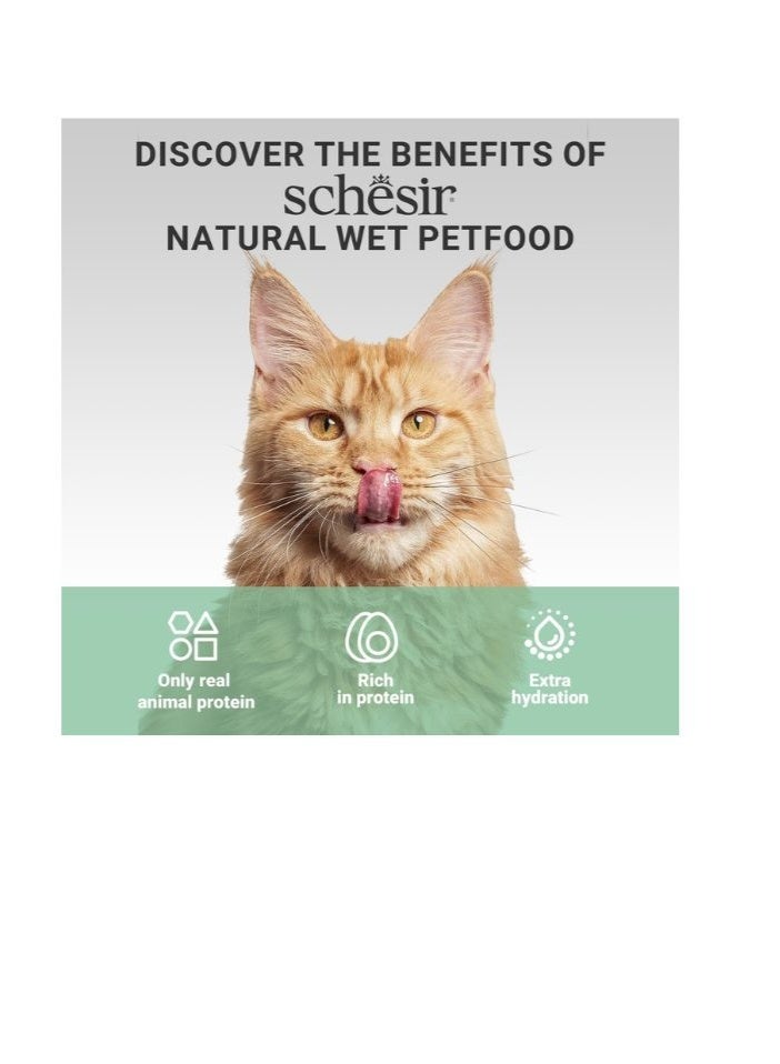 Schesir Complements Cat Wet Food in Jelly Can- Tuna 70g [MOQ:12pcs] - Image 5
