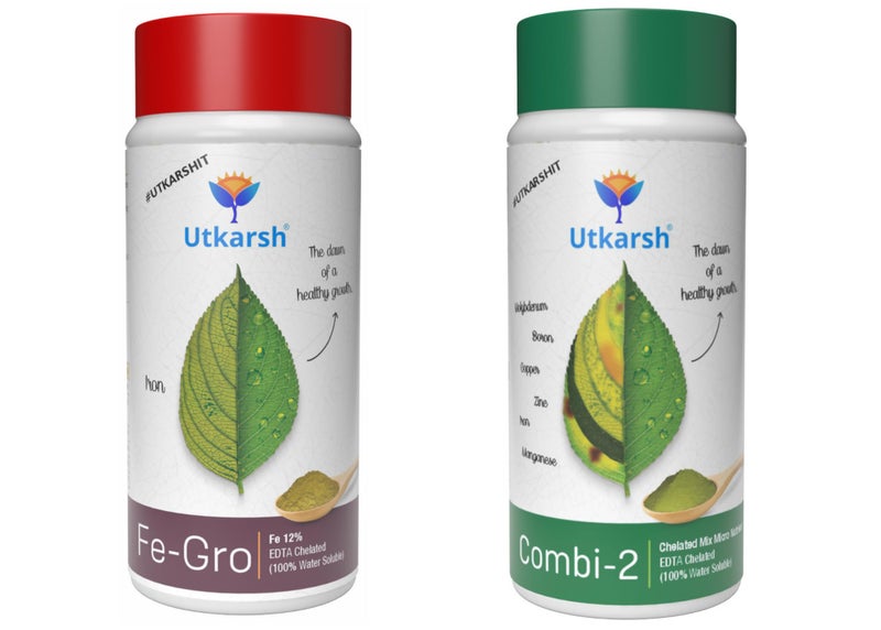 Utkarsh Combi-2 (EDTA Chelated Mix Micronutrient) - 250 gm | Utkarsh FeGro (Iron- Fe-12% EDTA Chelated) - 250 gm | 100% Water Soluble Foliar Spray, EDTA Chelated Fertilizers (Combo of 2) - Image 1