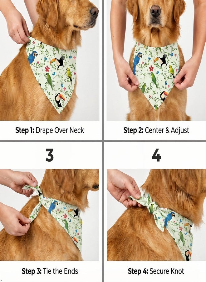W Brings XL Dog Bandana for Dogs | This Stunning Gorgeous Design Dog Bandana Scarf is Perfect Styling Accessory for Extra Large Dogs. (XL (Extra Large), Toucan & Parrot) - Image 4