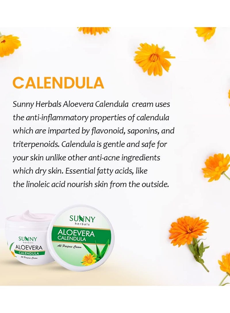 صني كريم الوجه متعدد الاستخدامات من هيربالز ألويفيرا وكالندولا | يساعد على منع التندب وحروق الشمس | آذريون مناسب للبشرة الحساسة | كريم للوجه | يساعد الألويفيرا على ترطيب البشرة ويمنحها توهجًا صحيًا، 250 جم - Image 4