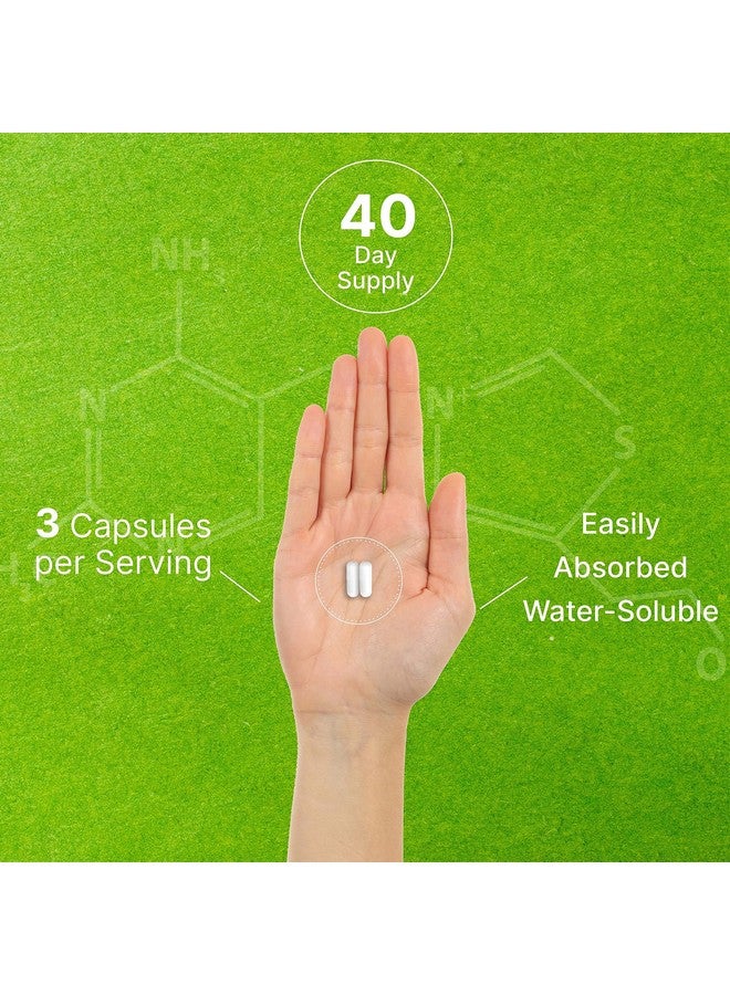 ملحق الصفقة مكمل غذائي DEAL SUPPLEMENT Citicoline CDP Choline، 1000 ملغ لكل حصة، 120 كبسولة - مكملات كولين فائقة القوة - خصائص فيتامين ب المنشط للذهن - يعزز صحة الدماغ والذاكرة والتركيز - غير معدل وراثيًا - Image 5