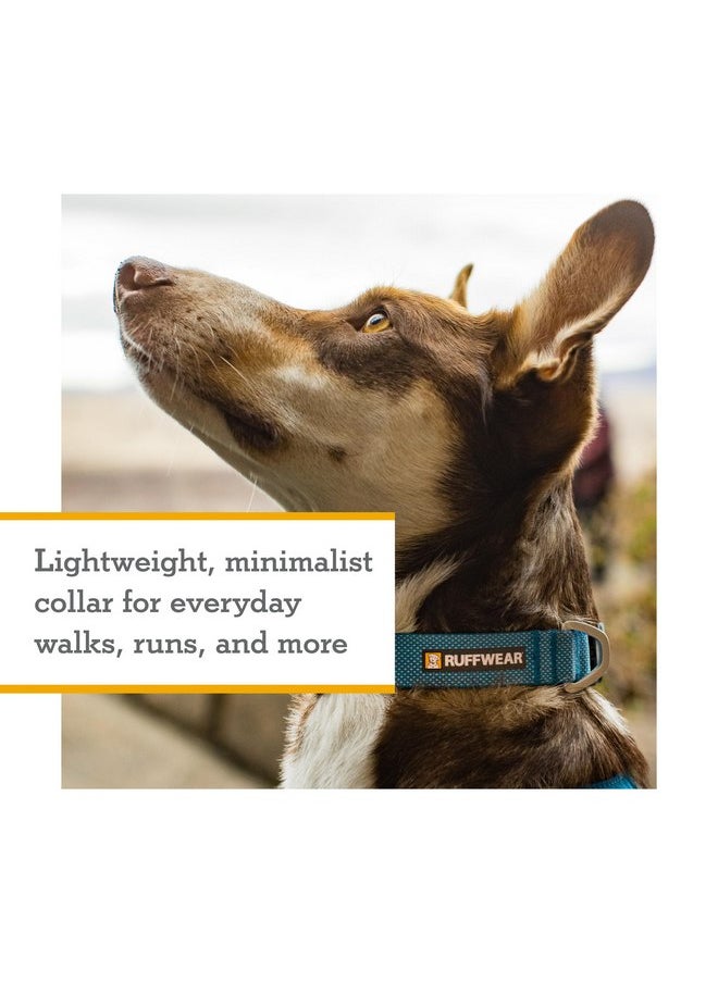 RUFFWEAR Ruffwear, Hi & Light Dog Collar, Minimal and Ultralight Collar for Everyday Walks and Runs, Basalt Gray, 11"-14"  - Image 2