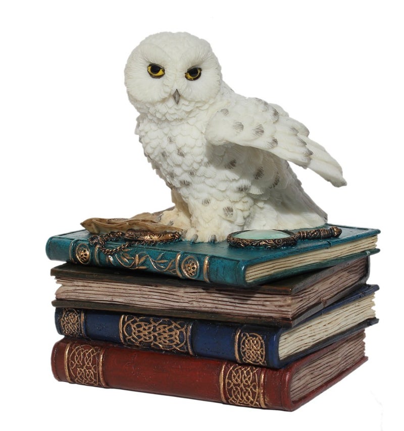 US 475 Inch Snow Owl Flap Wings on Books Trinket Box White Color