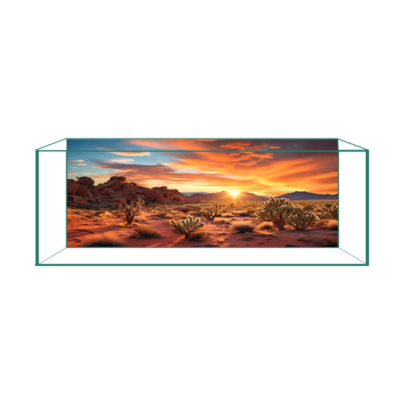 CICK SEED Aquarium Background & Terrarium Background â€“ Ultra HD Static Cling, Tape-Free, Desert Sunset Design for Reptile Tank Decorations, Perfect for Bearded Dragon and Leopard Gecko Tanks 11.8 X 23.6 Inches - Image 1