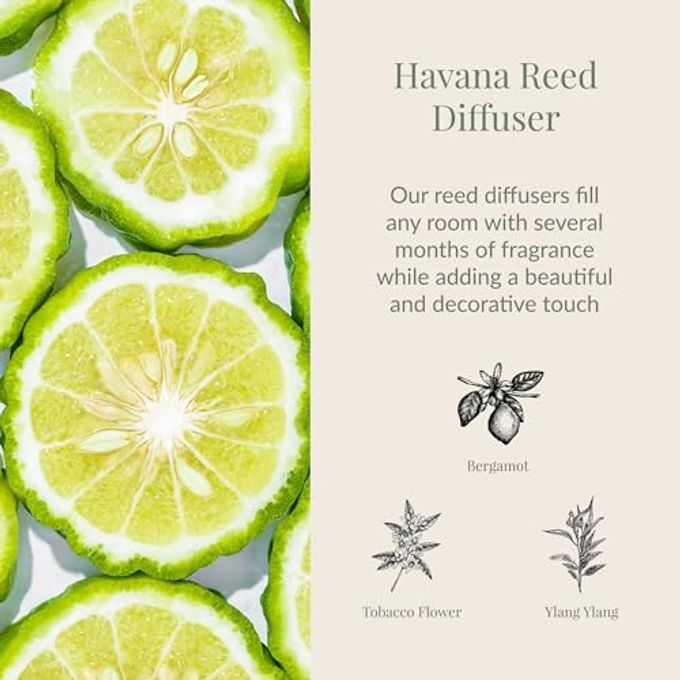 Archipelago Botanicals Havana Reed Diffuser, Home Fragrance Reed Diffuser, Includes Fragrance Oil, Frosted Glass Vessel & 10 Diffuser Reeds, Perfect for Home, Office or Gift, 7.6 Fl Oz - Image 2