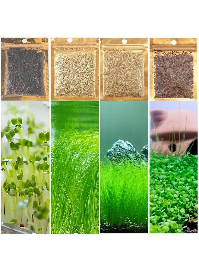 Generic 4 Pack Aquarium Plant S.e.e.ds, no Artificial Plastic Plant, Fish Tank Live Grass for All substrates (0.36ozTiny+0.36oz Long+0.36ozHeart-Shaped 0.35oz Big Dual) LZBSNI  - Image 1
