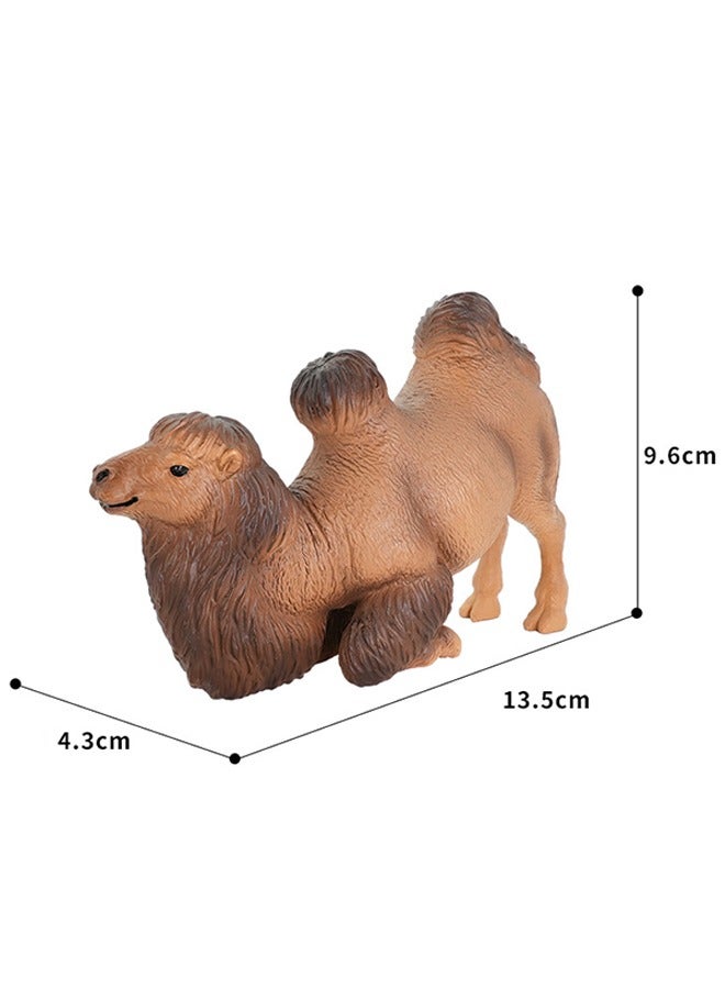 الضفدع الحقيقي تمثال جمل عربي واقعي - لعبة حيوانات برية أصلية ودقيقة التفاصيل للتعليم واللعب الممتع - مثالية للأولاد والبنات من سن 3 سنوات فما فوق، متعددة الألوان - Image 2