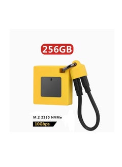 Type C Portable Drive Holder, Internal NVMe Solid State Drive with 256GB NVMe Drive