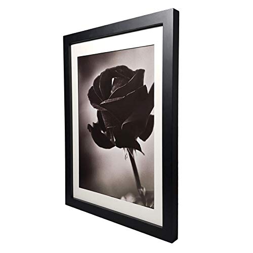 FUNTRESS Pictures Frame Collages for Diplomas Wall Hanging Poster Frame Wooden Living Room Pictures Frame with Mat (10x14 2 Pieces, Black) - Image 2