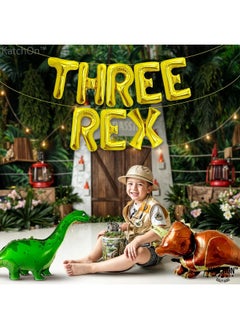 Atpata Funky Atpata Funky Dinosaur Theme Happy Birthday Party Supplies Combo Kit for unisex Dino Theme Decorations (Three Rex 3rd Birthday)  - Image 2