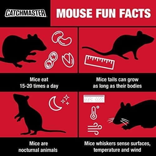 Catchmaster Catchmaster Snapper Mouse Traps 24Pk Mouse Traps Indoor for Home Reusable Rodent Killer for House Outdoor Critter Catcher Eco Friendly Pest Control for Garage Basement  Kitchen - Image 4