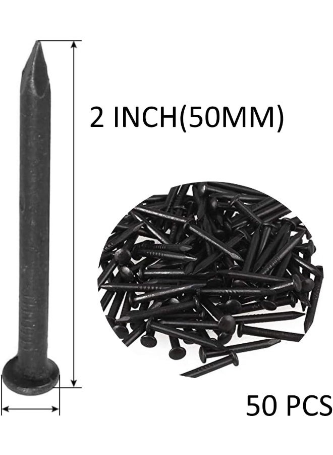 Biella 50Pcs Steel Point Tip Wall Black Concrete Masonry Nail (2 Inch) - Image 2