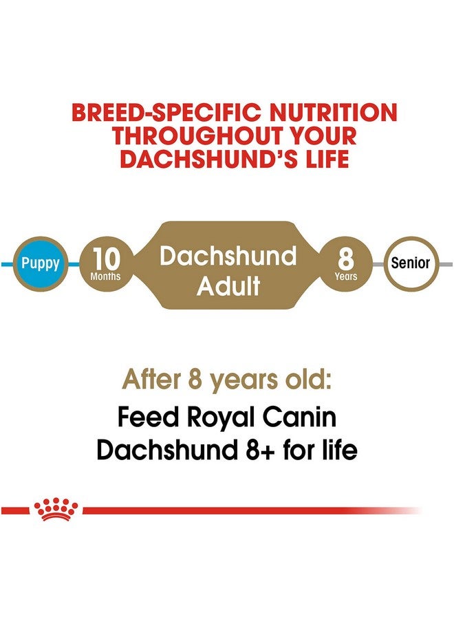 رويال كانين طعام جاف خاص بالكلاب من رويال كانين داشهند، وزن 10 أرطال - Image 5