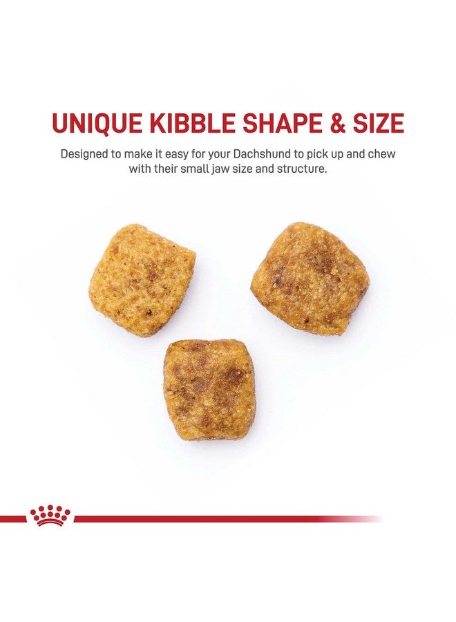 رويال كانين طعام جاف خاص بالكلاب من رويال كانين داشهند، وزن 10 أرطال - Image 2