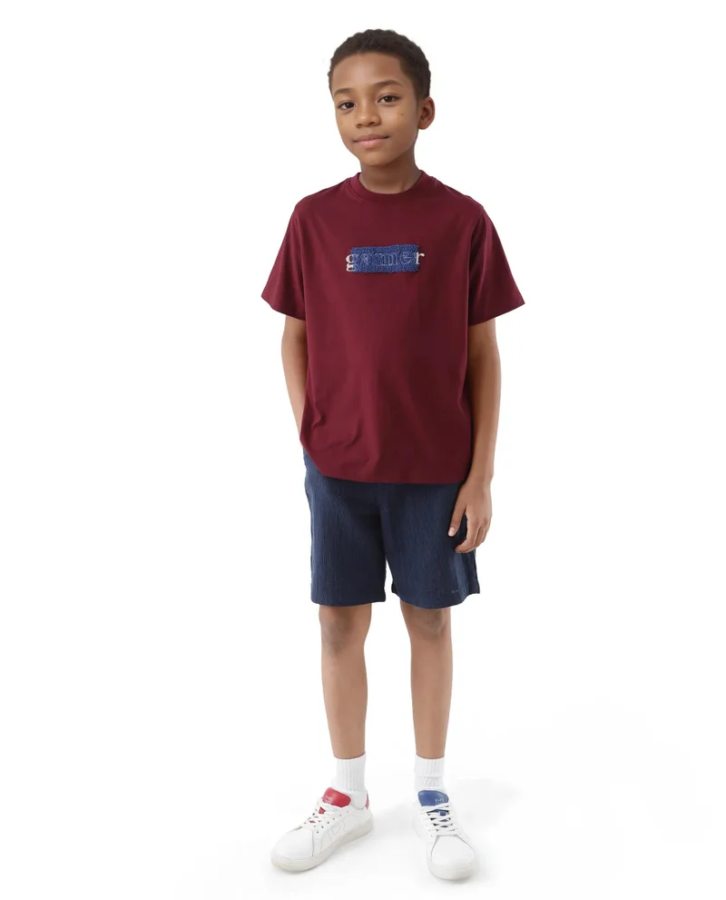Rare Ones Rare Ones Kids Gamer Dark Red Cotton Embroidered Slip-On Regular Fit T-Shirt