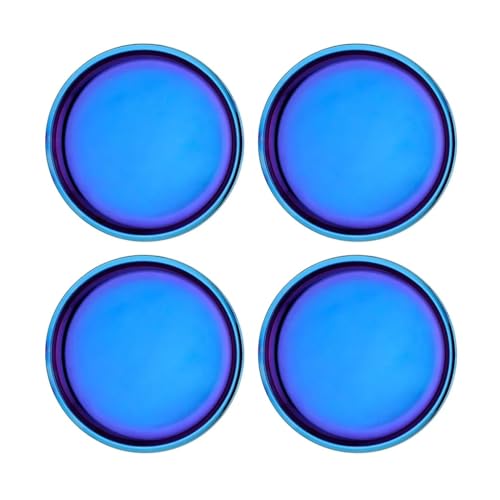 Ahimsa Stainless Steel Plates for Kids  9 Round Blue Toddler Plates Non Toxic Plate BPA Free  Dishwasher Safe Set of 4