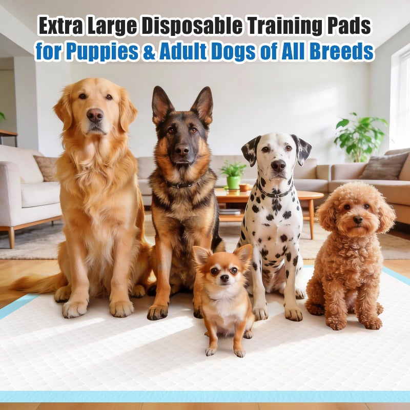 VISRIE 100 Pack 30x36 Extra Large Dog Pee Pads - Super Absorbent u0026 Leak-Proof Disposable Puppy Training Pads, Quick-Dry 5-Layer XL Potty Piddle Pads for Housebreaking u0026 Crates - Image 4