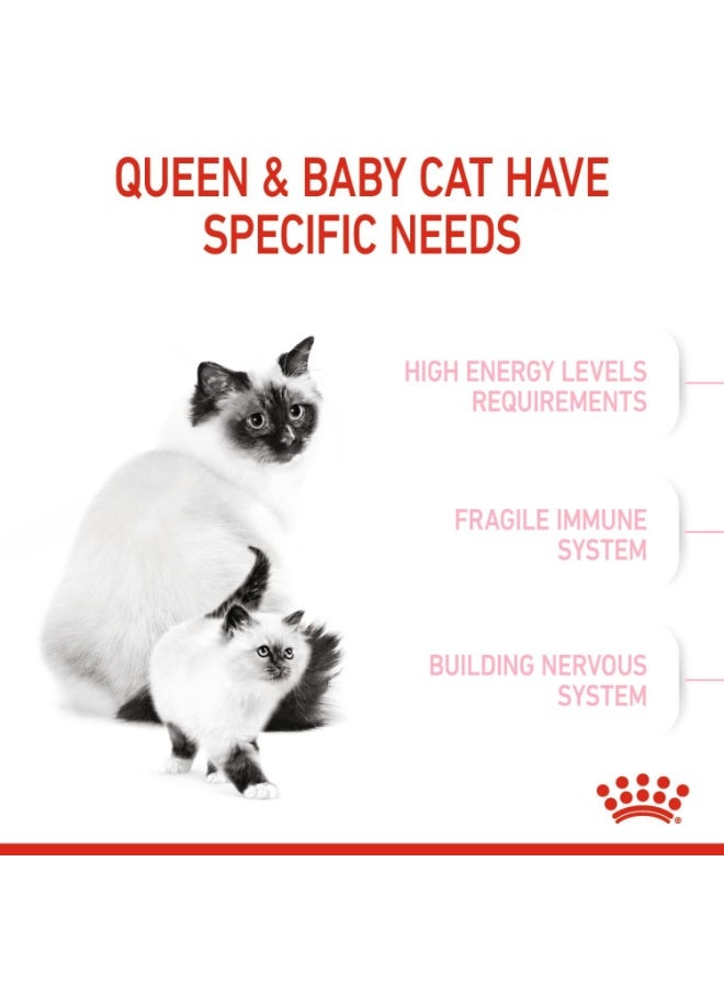 ROYAL CANIN Feline Health Nutrition Mother & Babycat 10 KG - Image 3