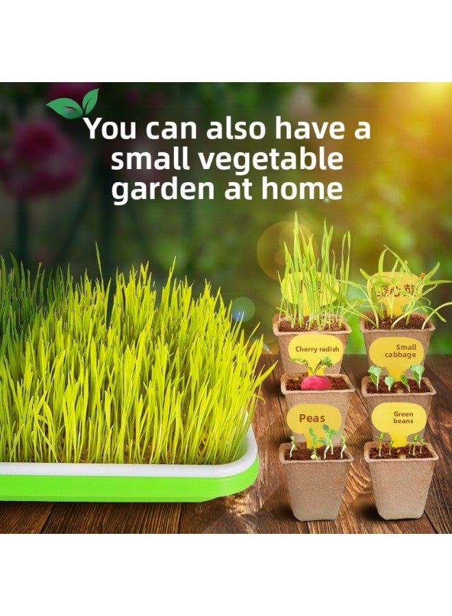 Children's Planting Observation Seed Germination Growth Scientific Experiment Set Primary School Students Diy Potted Planting Toys-Specifications:Sunshine Small Vegetable Garden  - Image 5