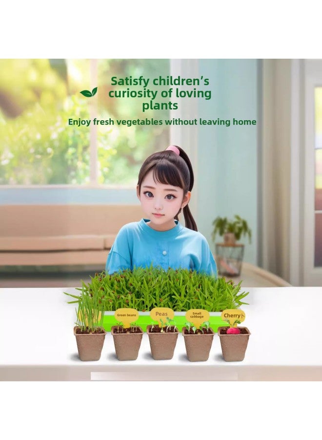 Children's Planting Observation Seed Germination Growth Scientific Experiment Set Primary School Students Diy Potted Planting Toys-Specifications:Sunshine Small Vegetable Garden  - Image 3