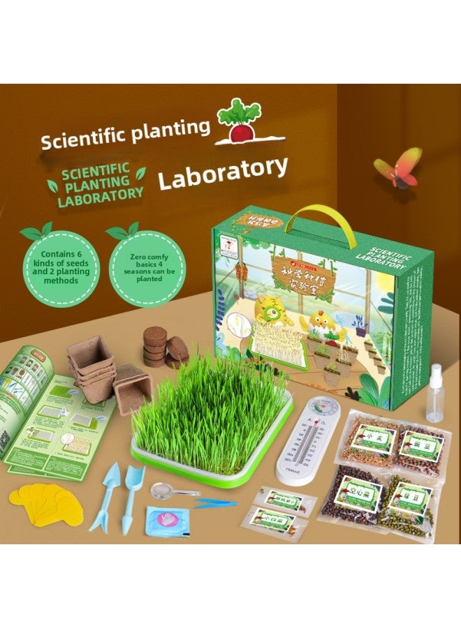 Children's Planting Observation Seed Germination Growth Scientific Experiment Set Primary School Students Diy Potted Planting Toys-Specifications:Sunshine Small Vegetable Garden  - Image 2