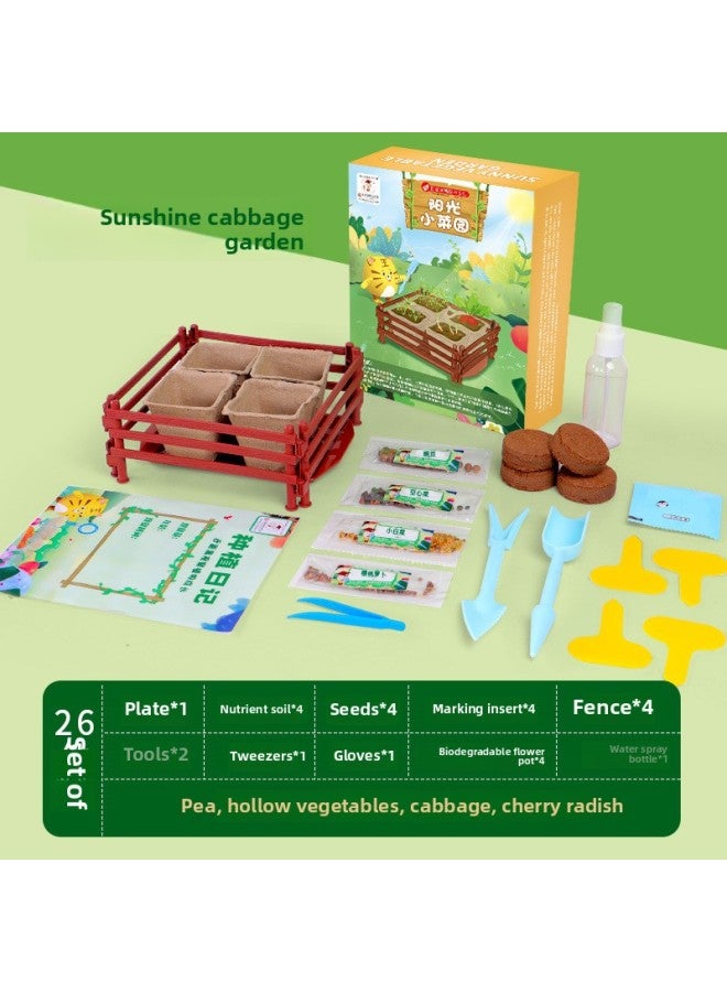 Children's Planting Observation Seed Germination Growth Scientific Experiment Set Primary School Students Diy Potted Planting Toys-Specifications:Sunshine Small Vegetable Garden  - Image 1