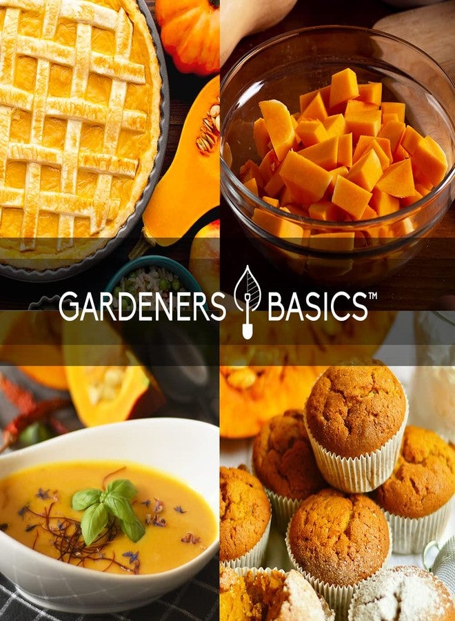 Gardeners Basics أساسيات البستنة، بذور اليقطين للزراعة - 5 أنواع: بيبي بو، جاينت بيج ماكس، جاك بي ليتل، جاك أو لانترن، شوغر باي، مثالية لزراعة بذور اليقطين في الصيف والخريف. - Image 5