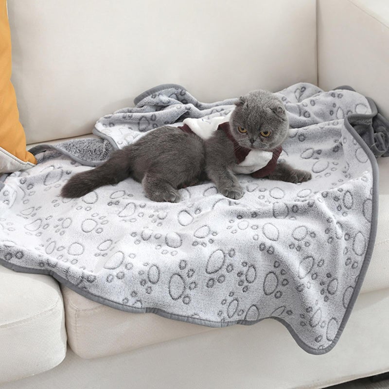 XL Dog Blanket Portable Warm Pet Mat Plush Fleece Washable Lightweight for Crate Bed Sofa Travel - Image 4