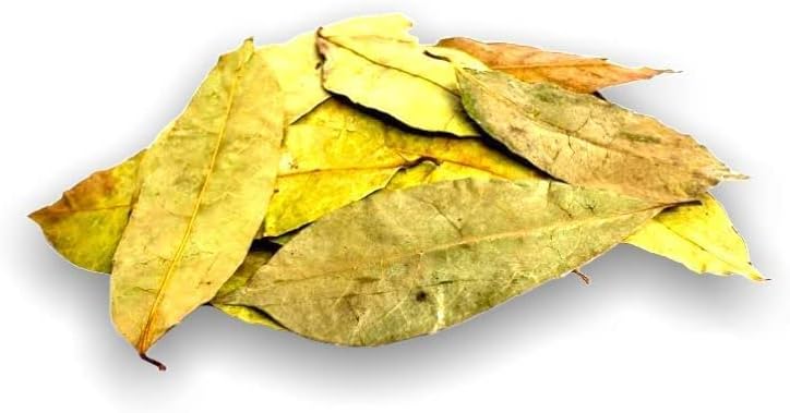 Yerbero Wild Whole Dried Graviola Soursop Leaves - 1 Lb (453G) - Natural Herbal Tea - Image 4