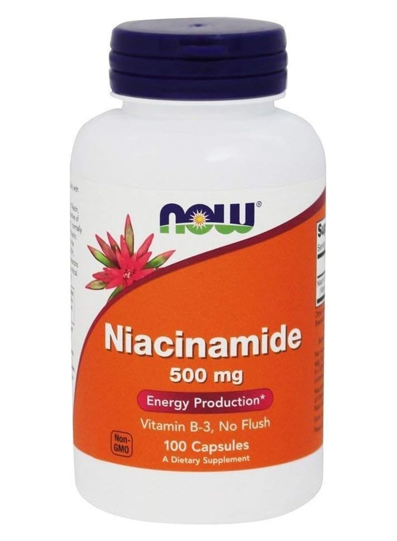 now Niacinamide Vitamin B3 Capsules 100 Caps 500 Mg - Image 1
