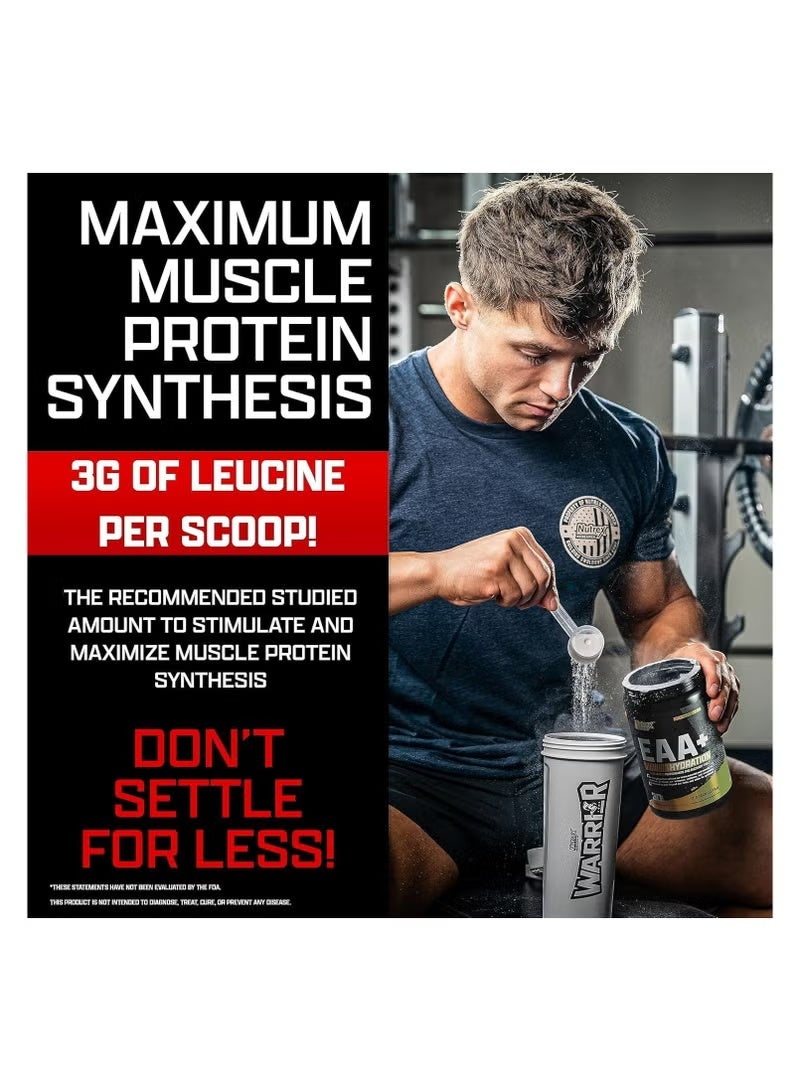 Nutrex Research EAA+ ترطيب 30 حصة فواكه بانش 390غ - Image 4