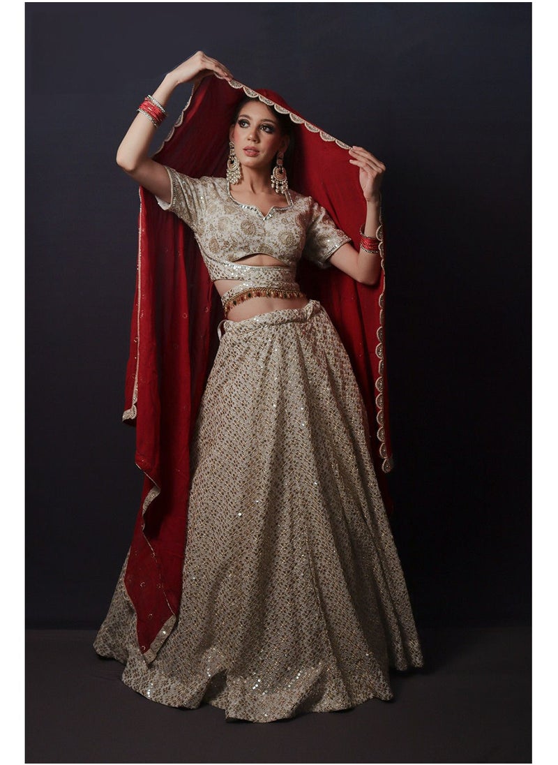 Fashion & Lifestyle - Embroided Mirror work Lehenga With Red Lace border dupatta - Image 1
