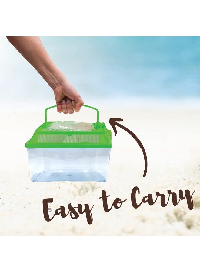 Needzo Hermit Crab Tank with Carrier Handles, Plastic Terrariums for Reptiles, Crabs, Lizards, and More, 12.5 inches - Image 3